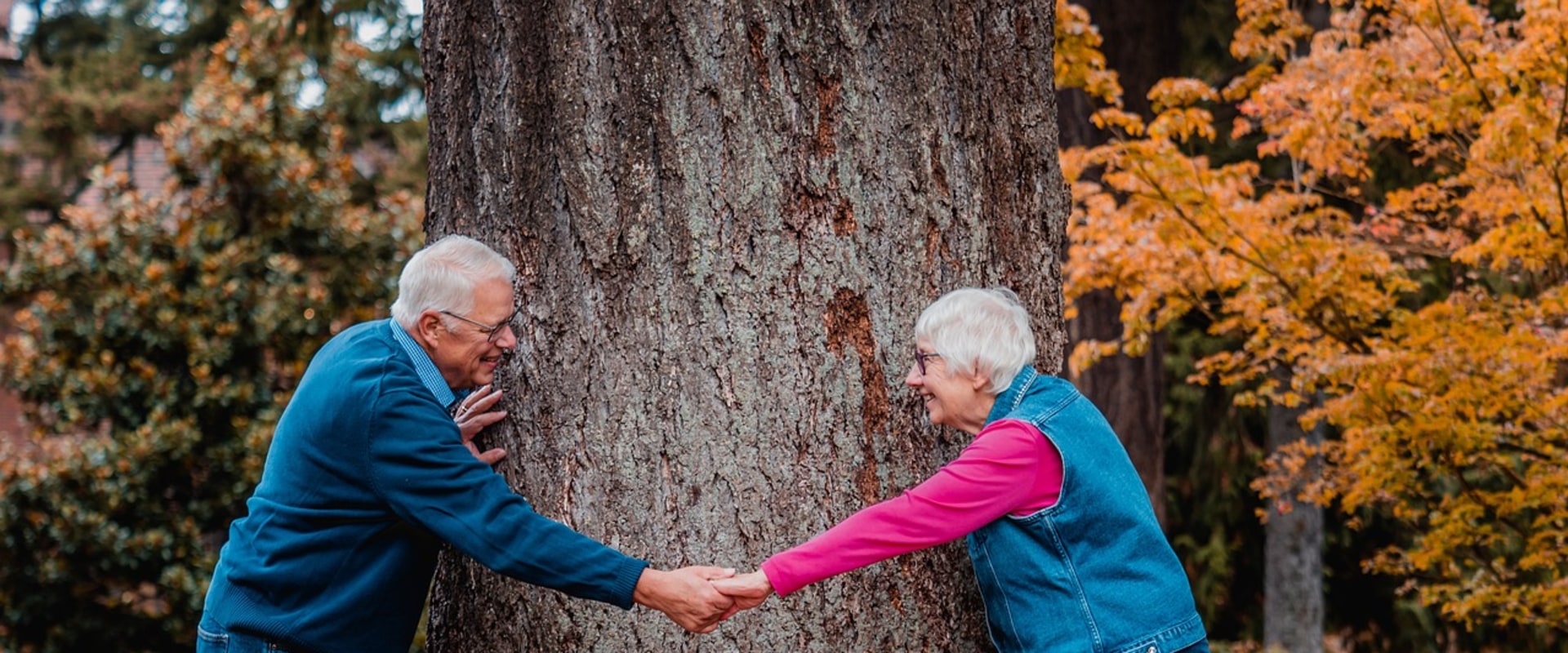 Pros and Cons of Senior Match Dating Sites